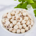 Natural High Quality Lotus Seed